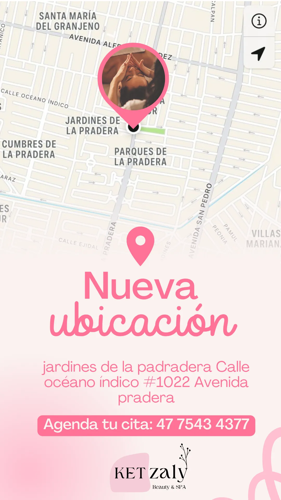 Diseño 61