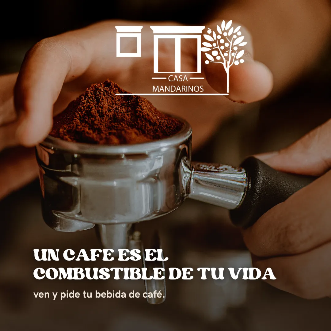 Diseño 5