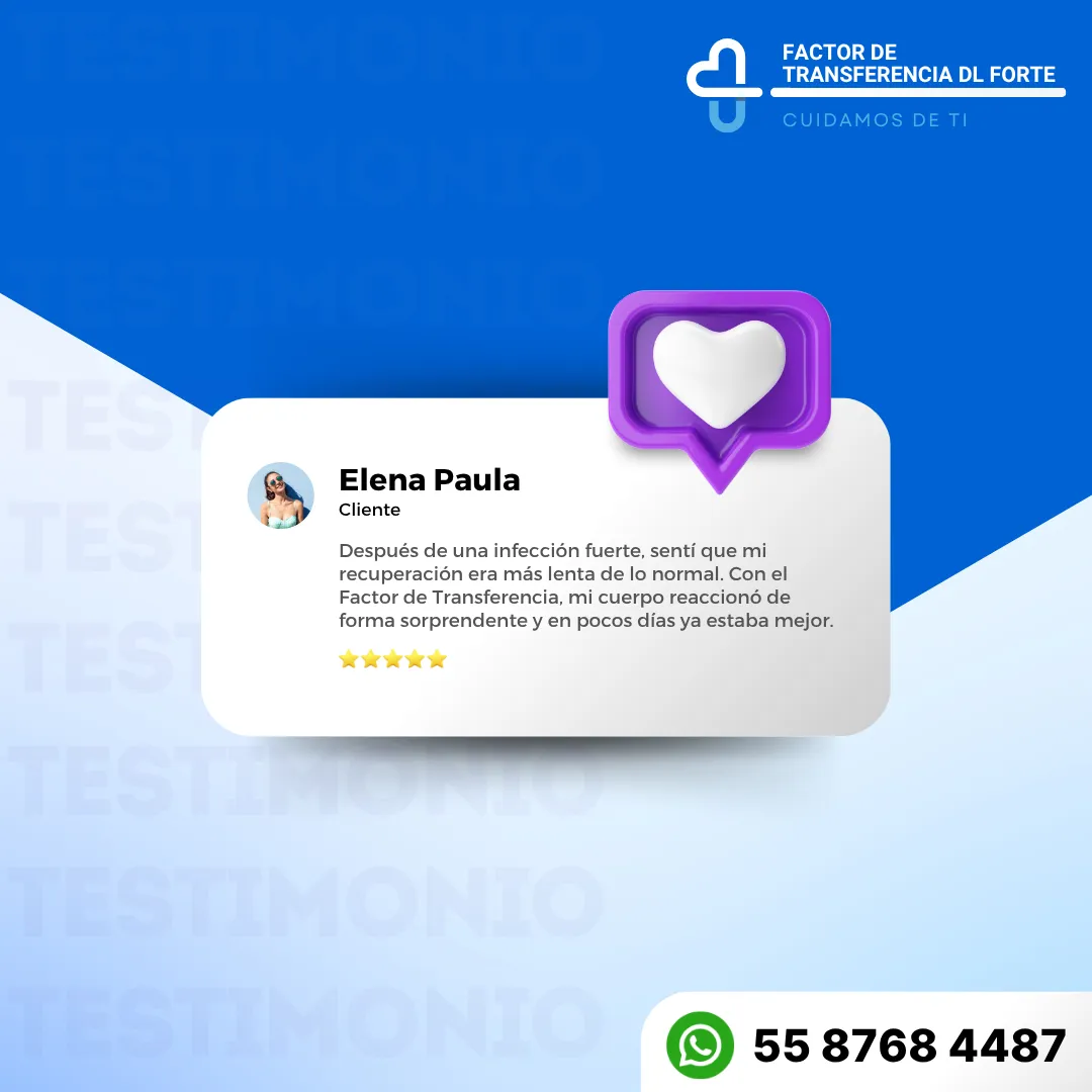Diseño 19
