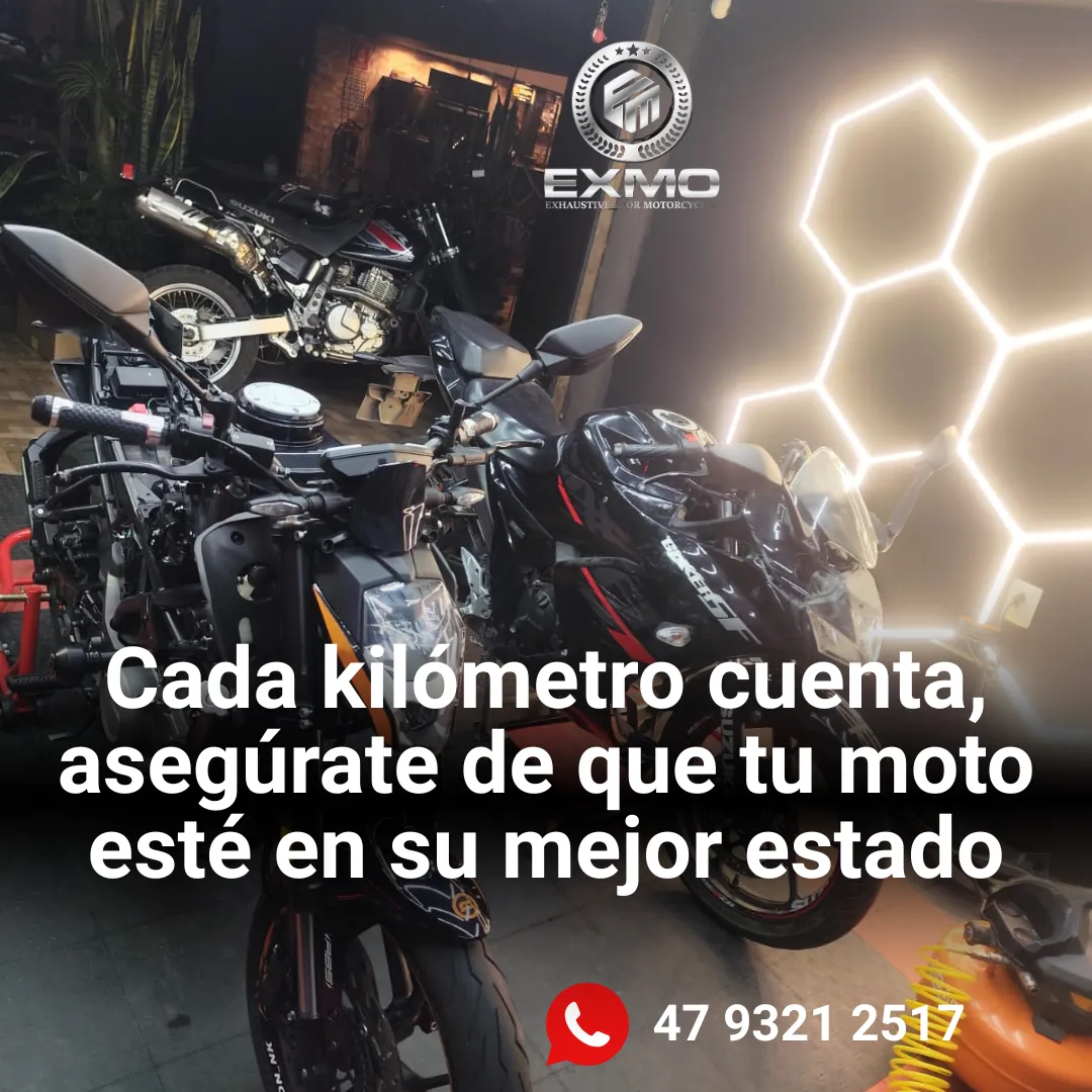 Diseño 15