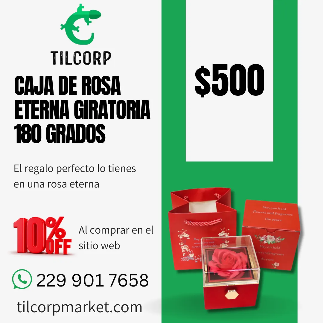 Diseño 15
