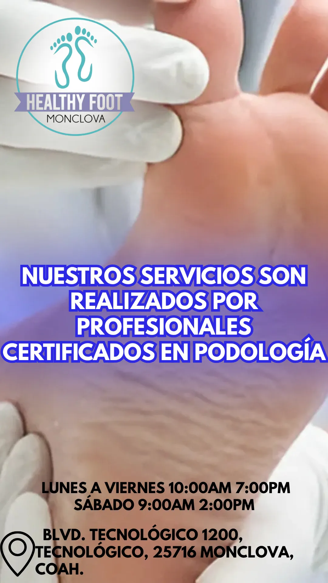 Diseño 102