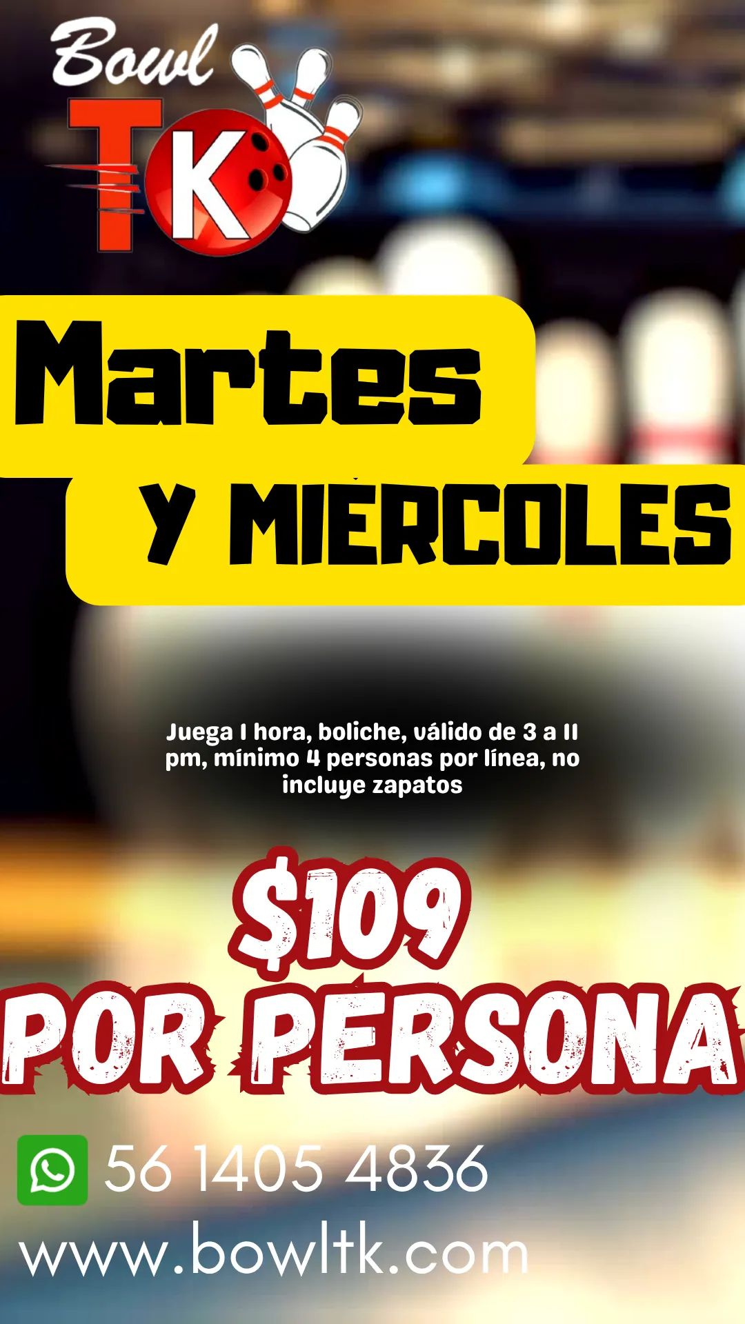 Diseño 16