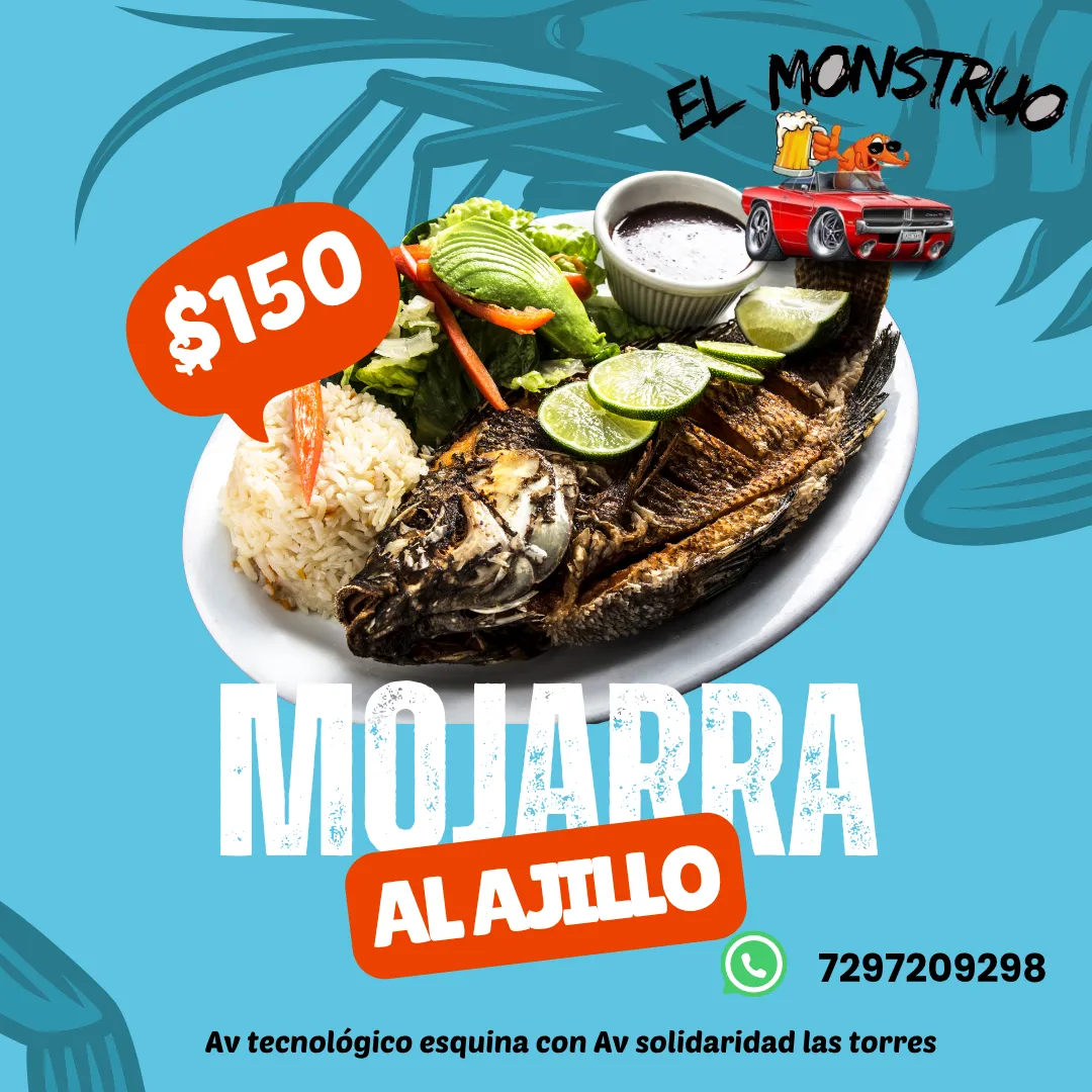 Diseño 47