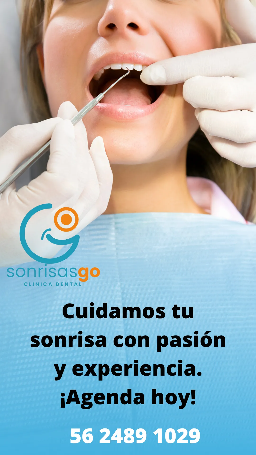 Diseño 87