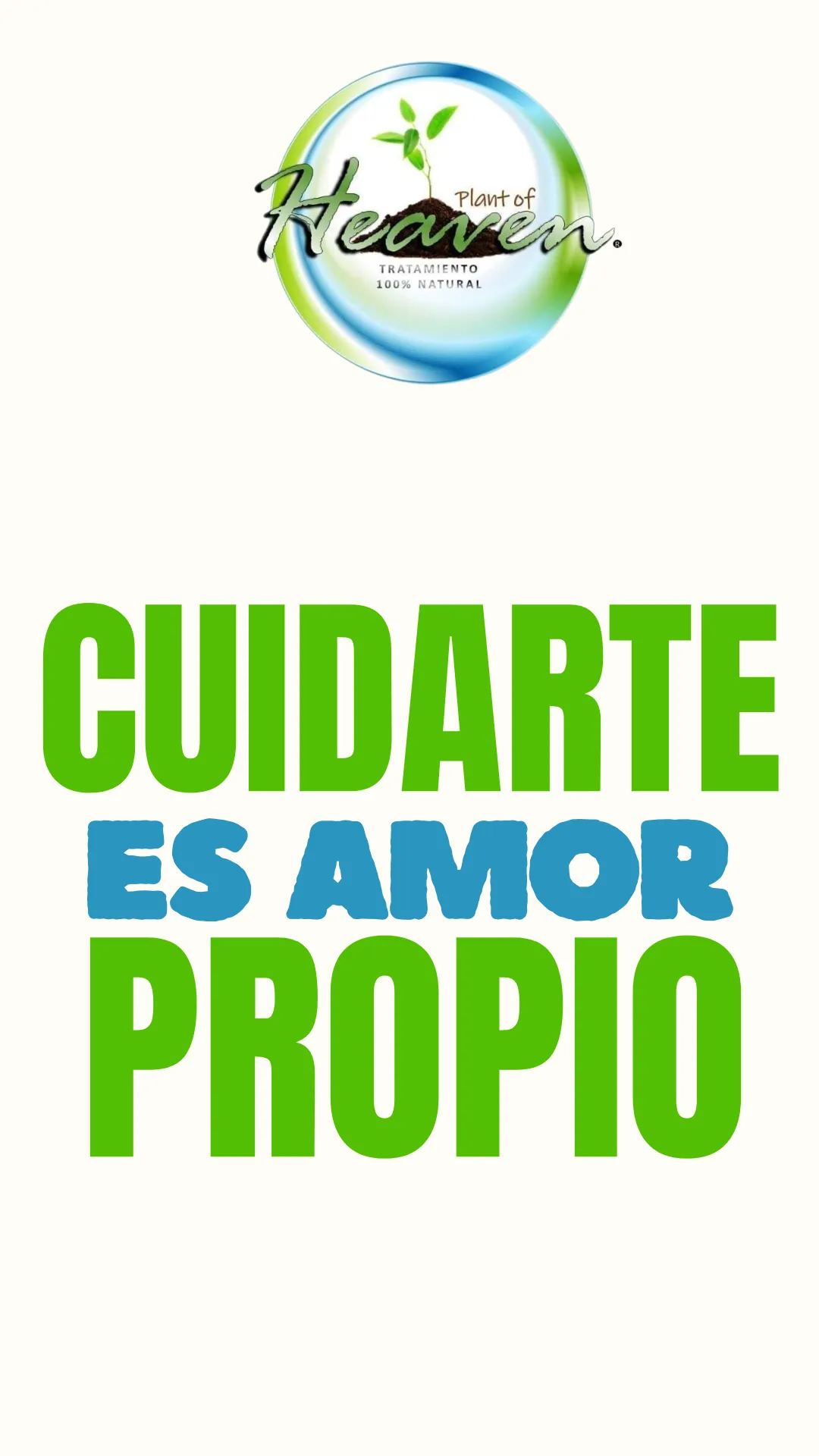 Diseño 5
