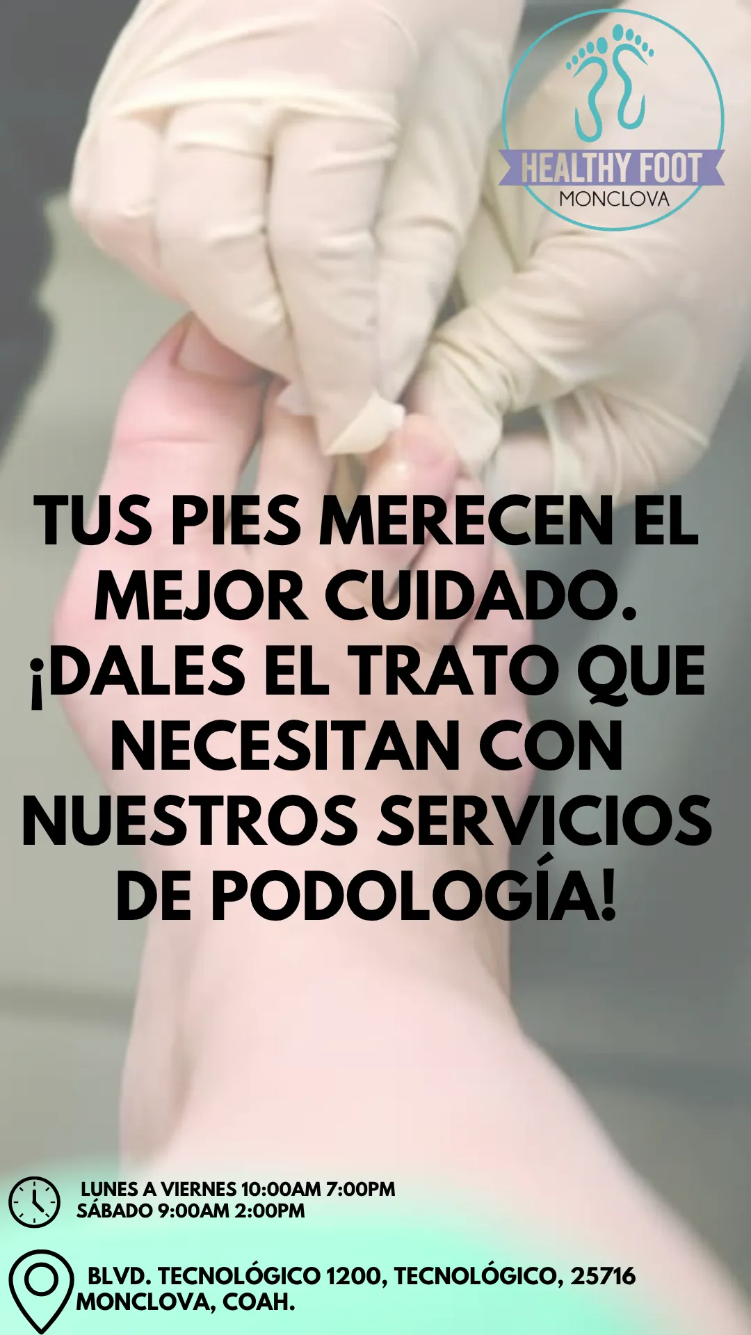 Diseño 19