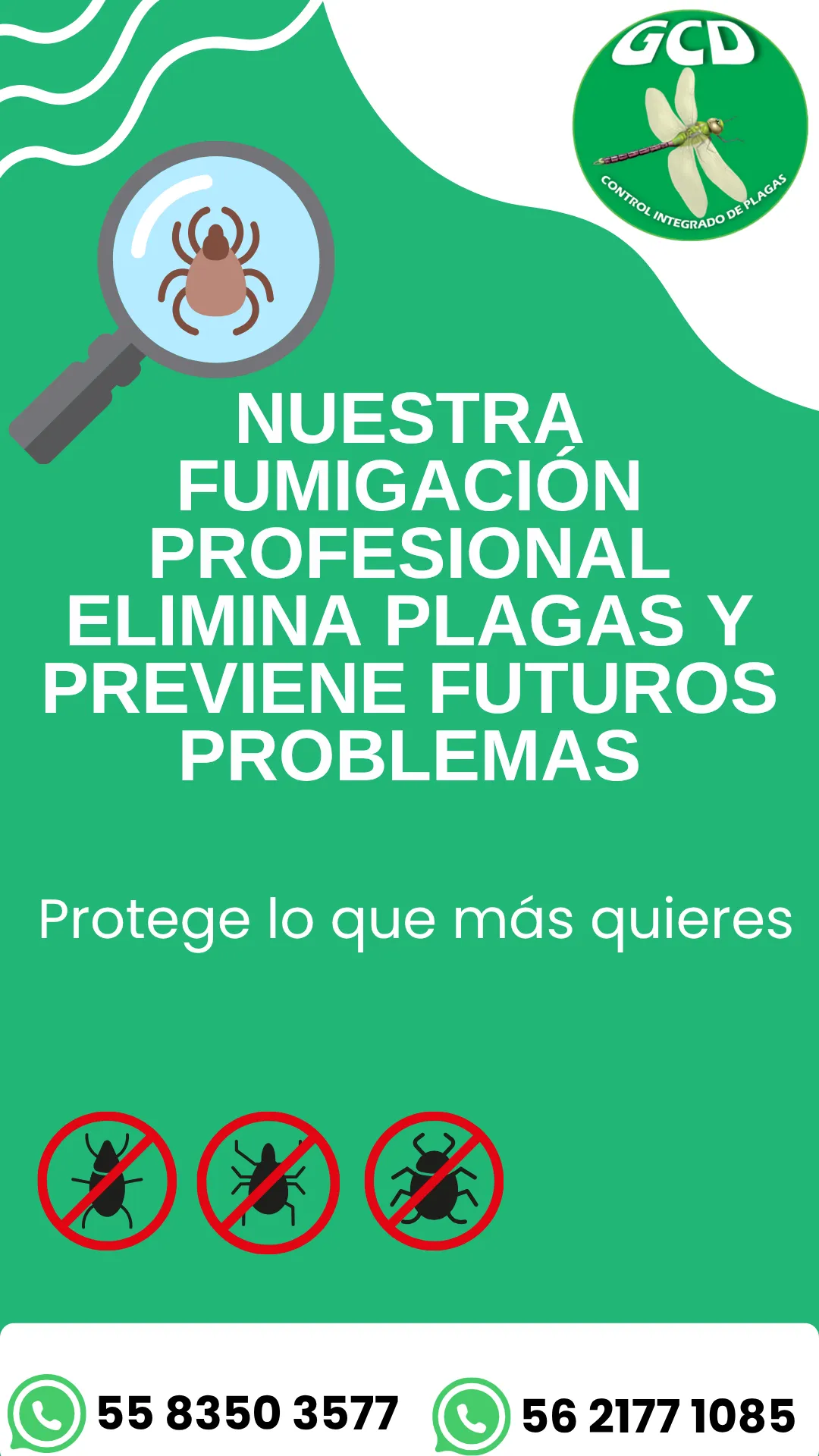 Diseño 60