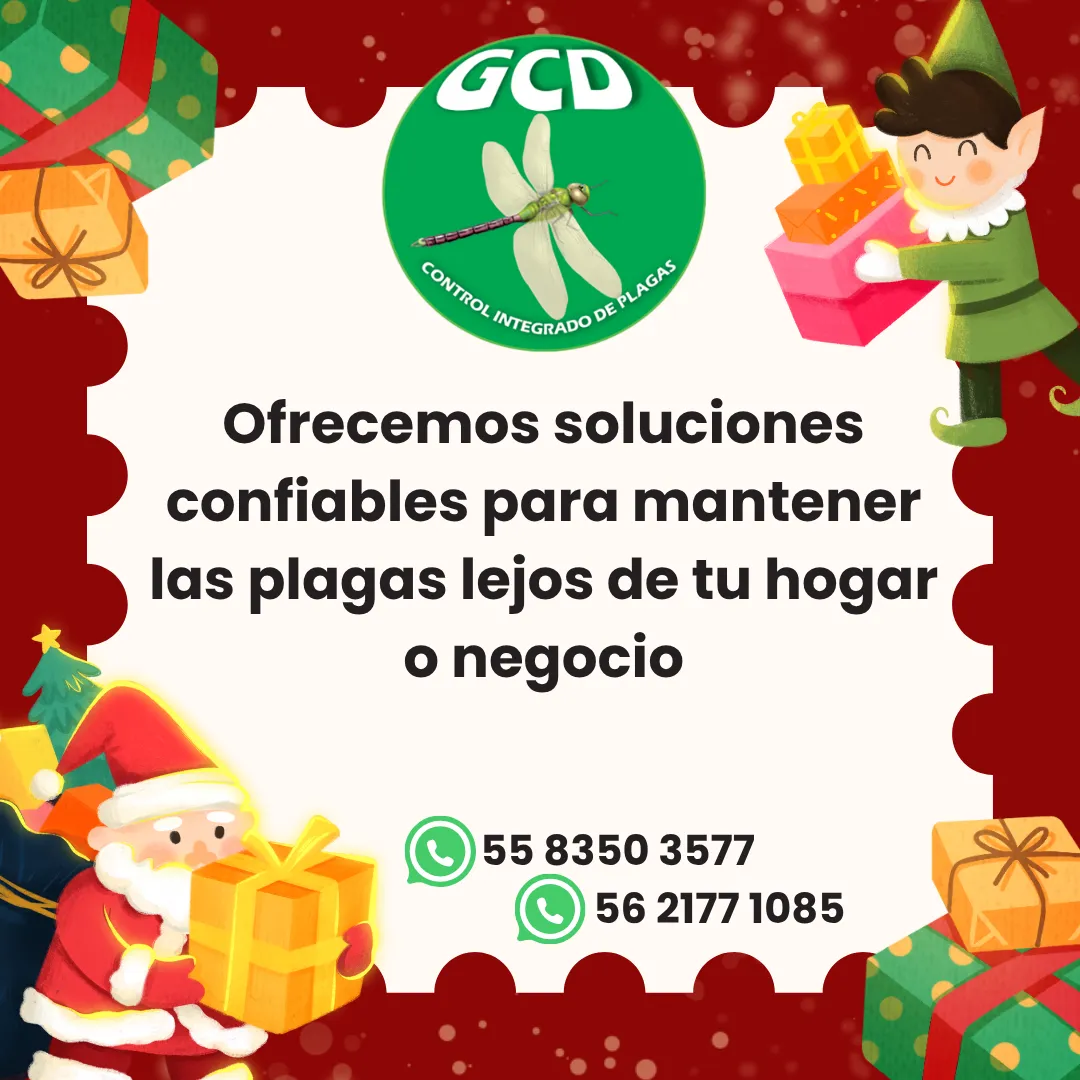 Diseño 25