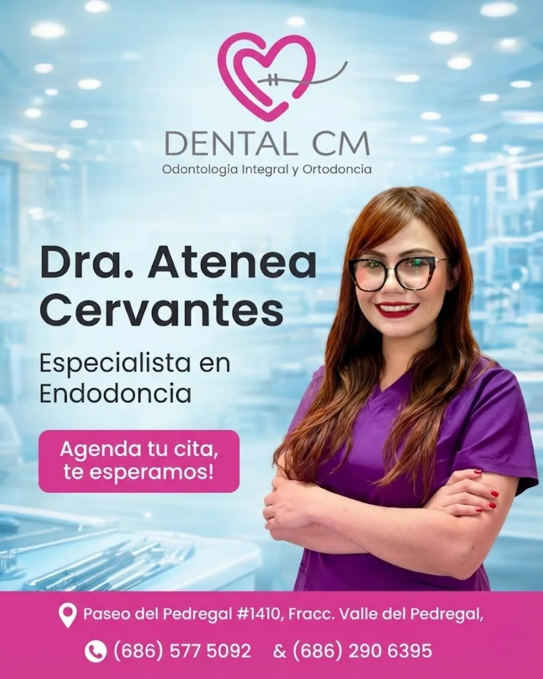Diseño 31