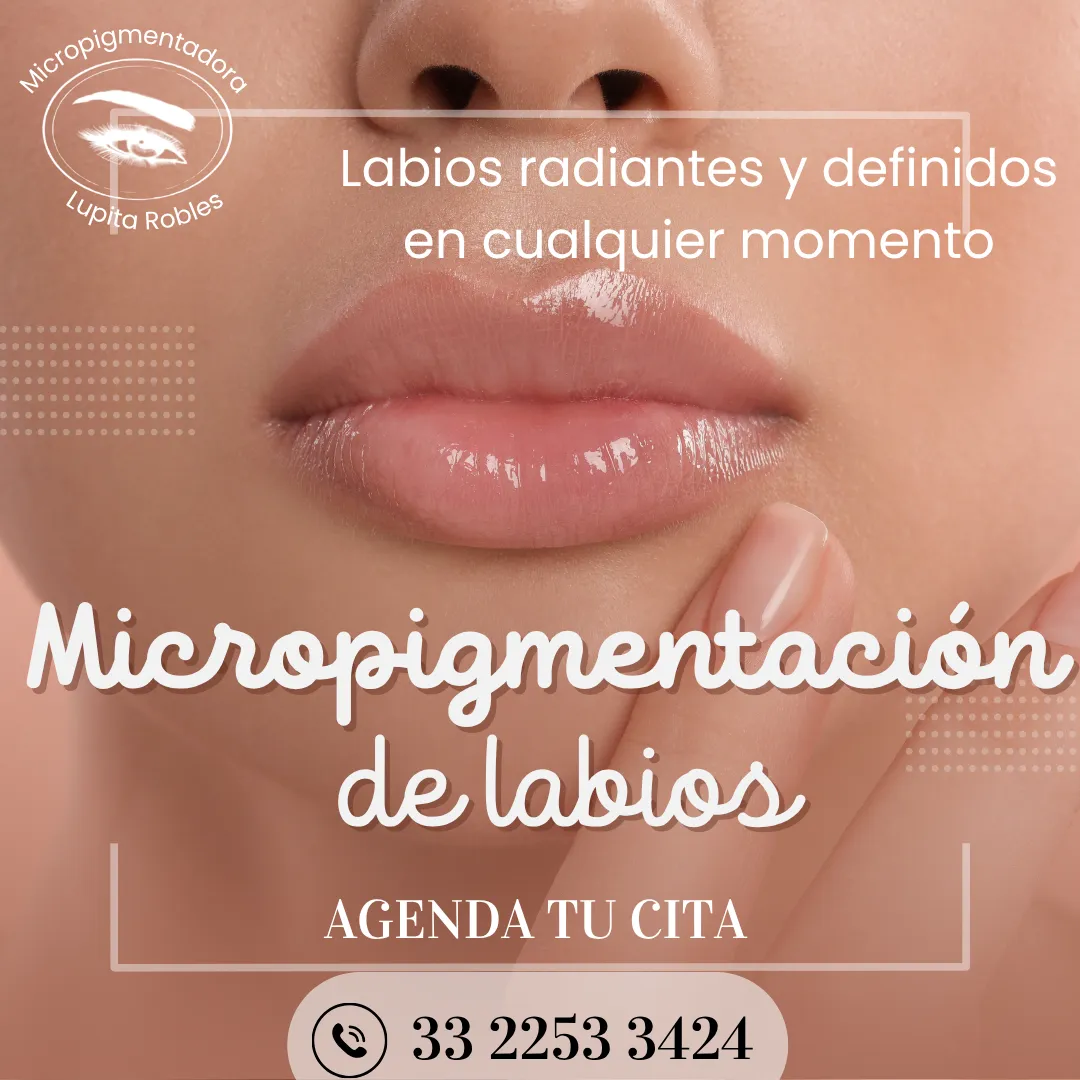 Diseño 41