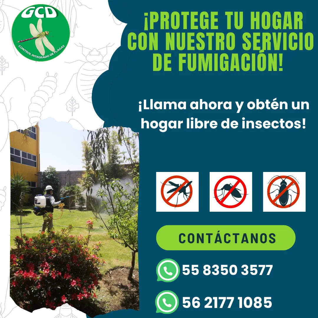 Diseño 45