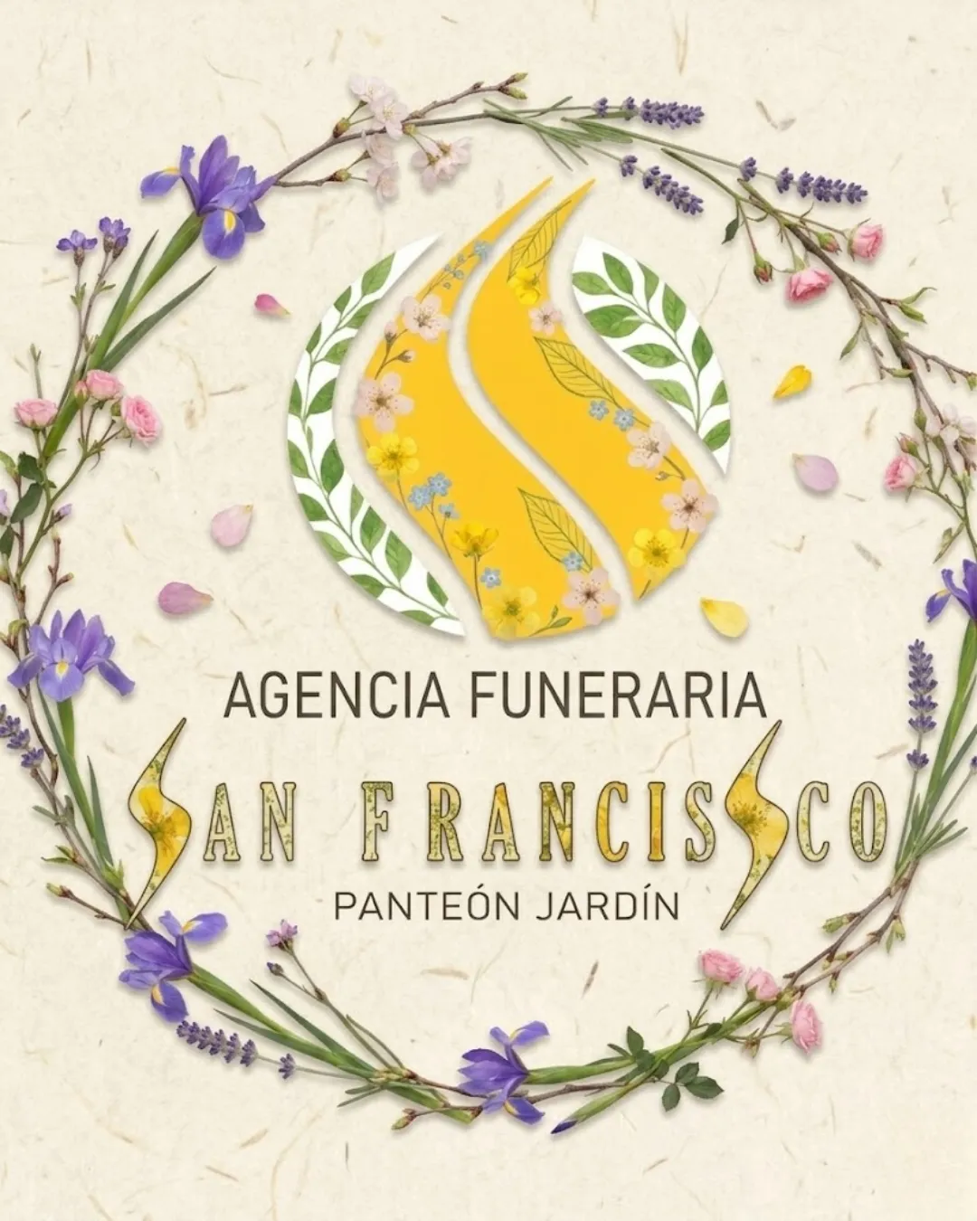 Diseño 57