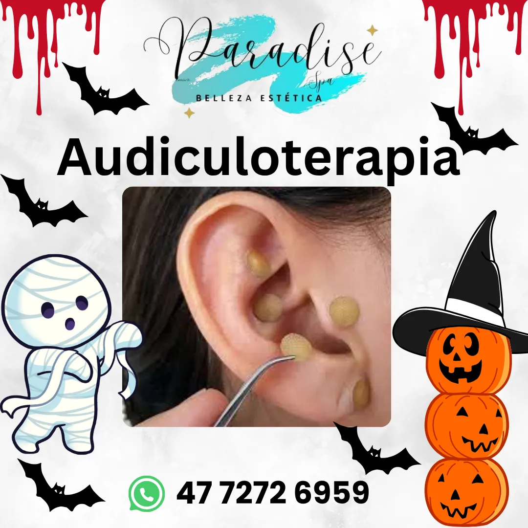 Diseño 142