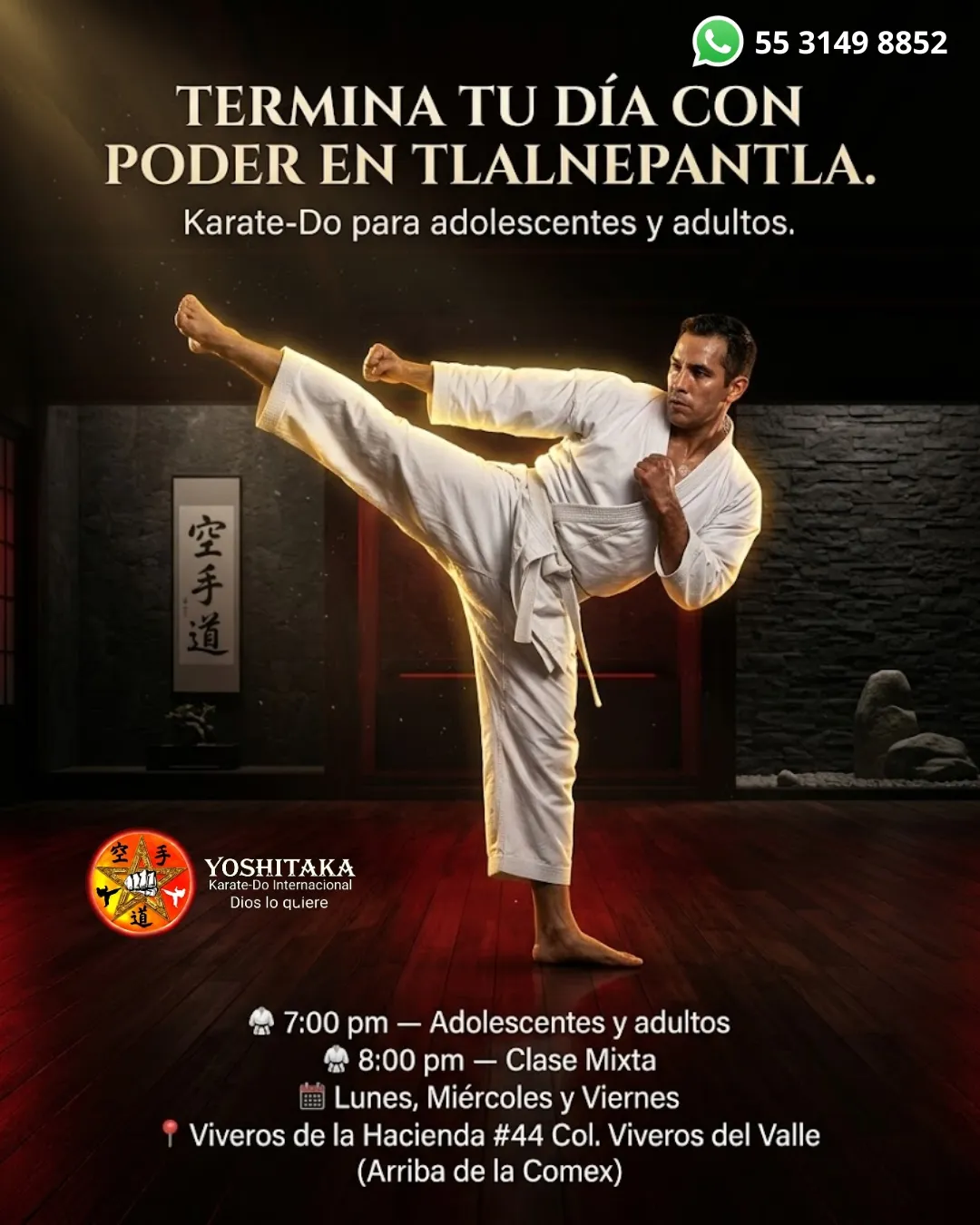 Diseño 16