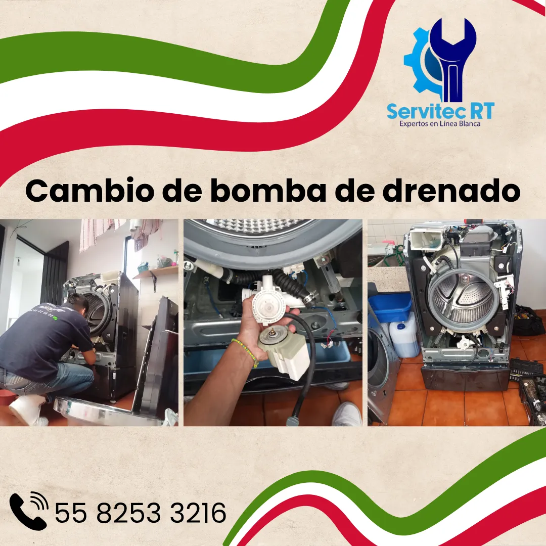 Diseño 29