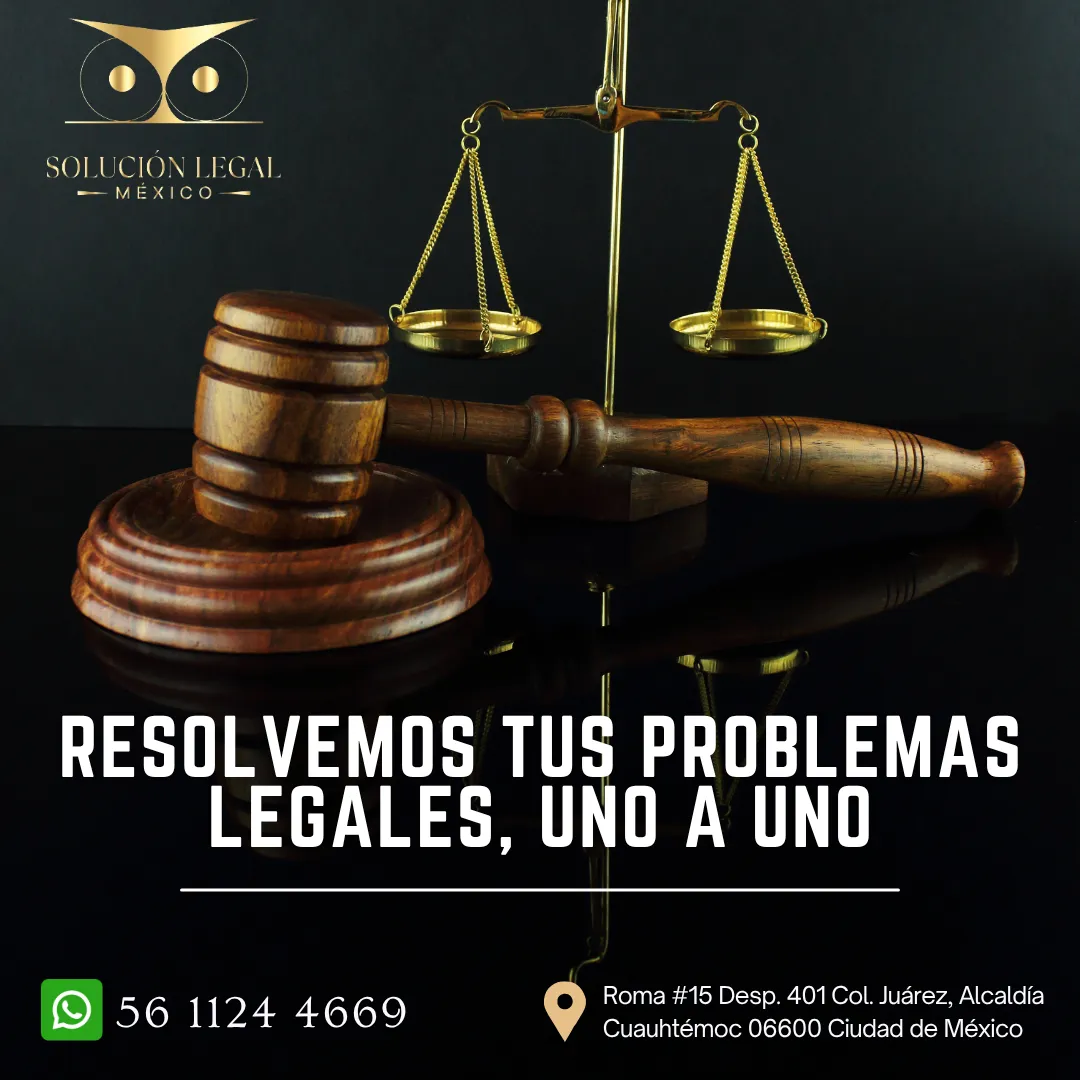 Diseño 61