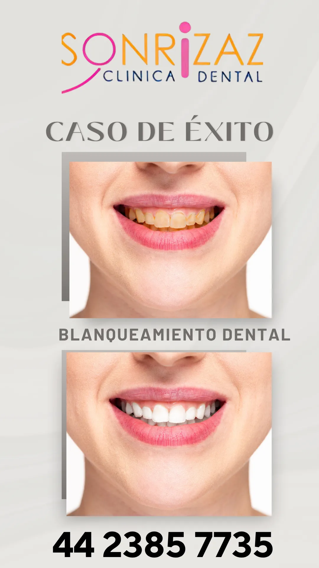 Diseño 66