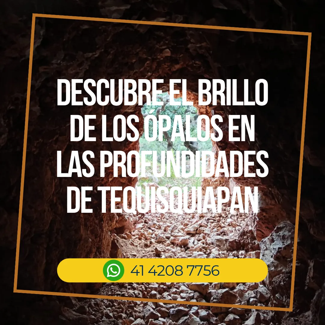 Diseño 2