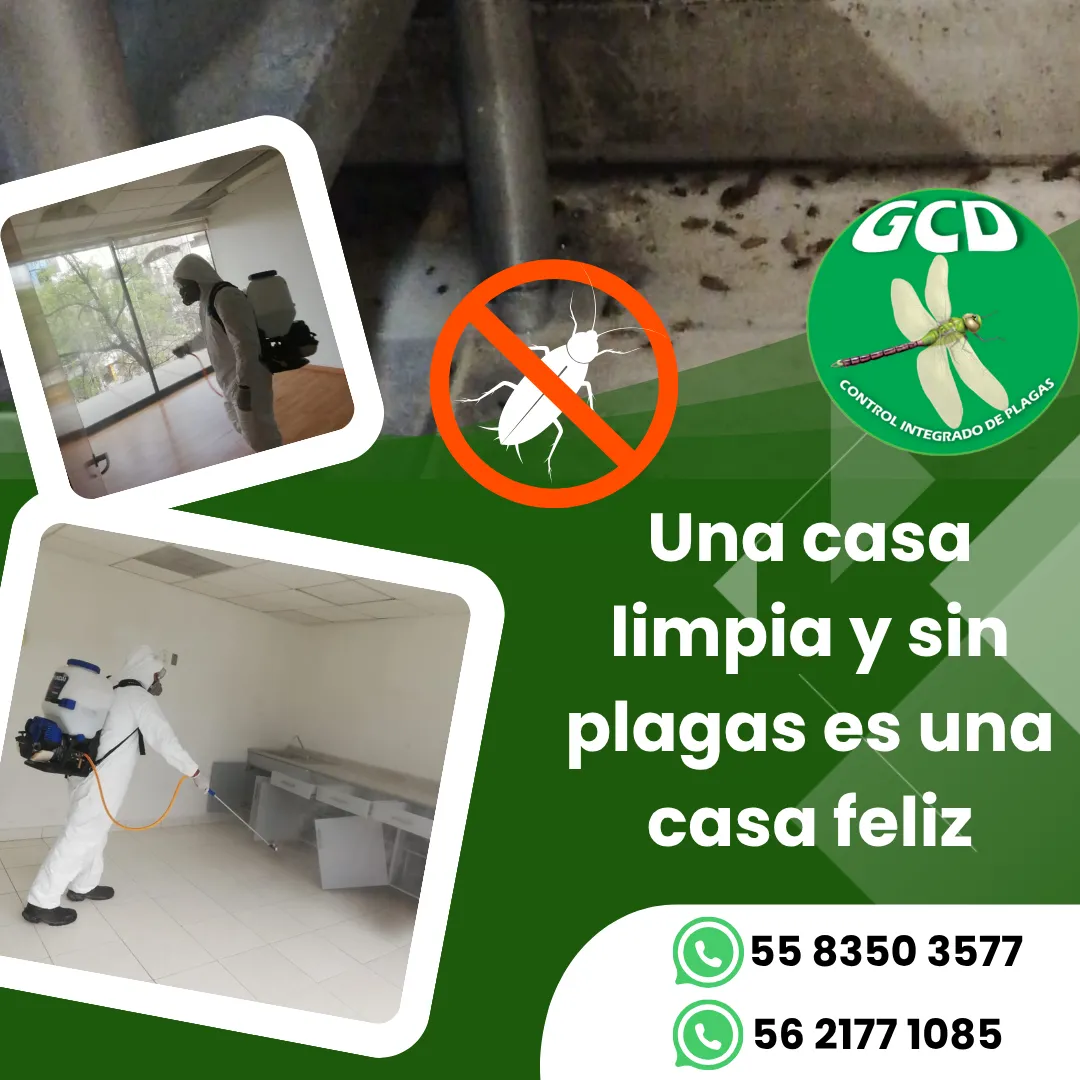 gcd