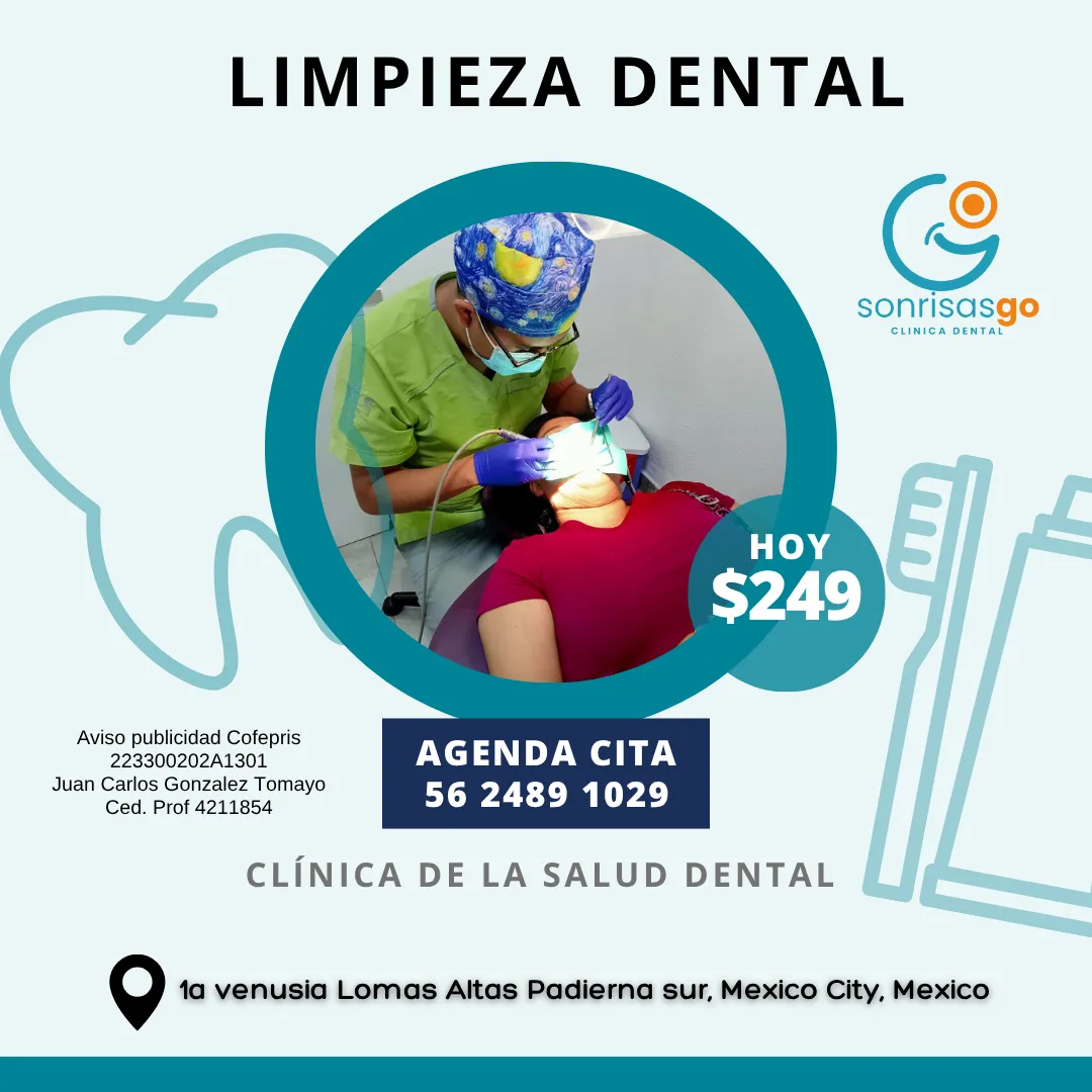 Diseño 47