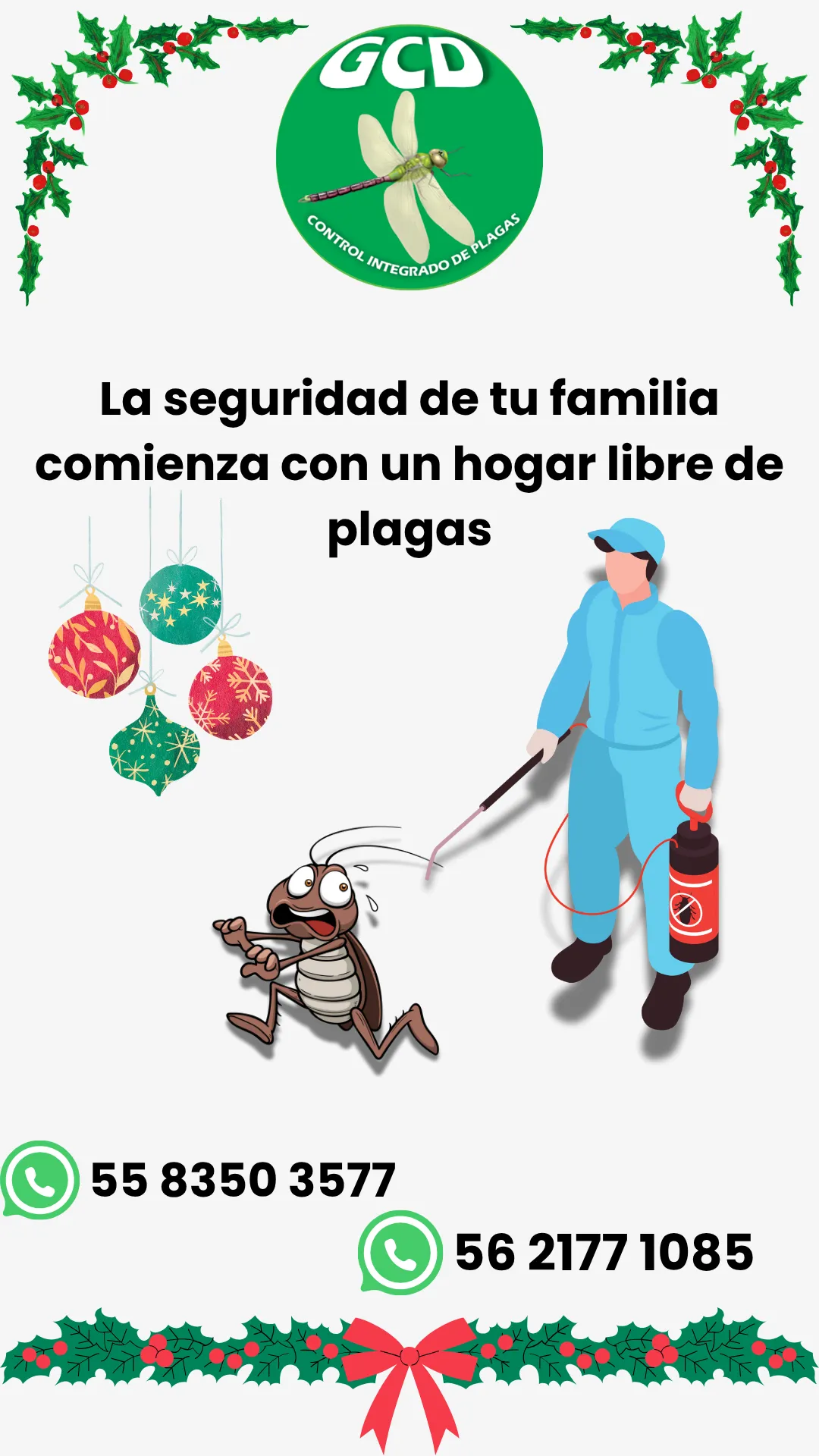 Diseño 15