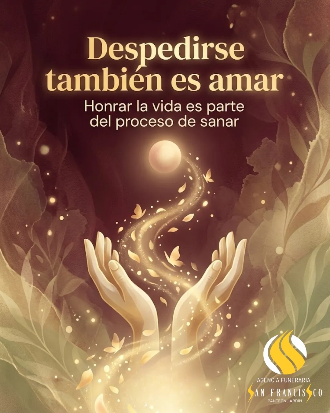 Diseño 20
