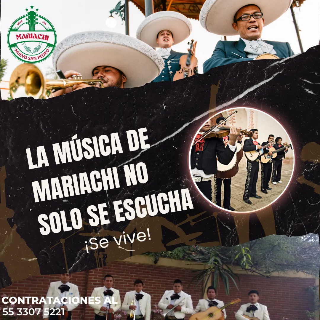 Diseño 29