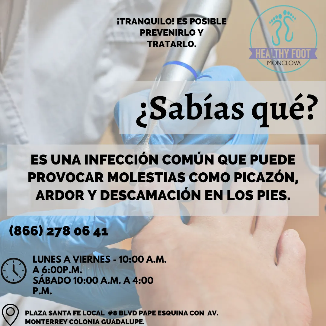 Diseño 4