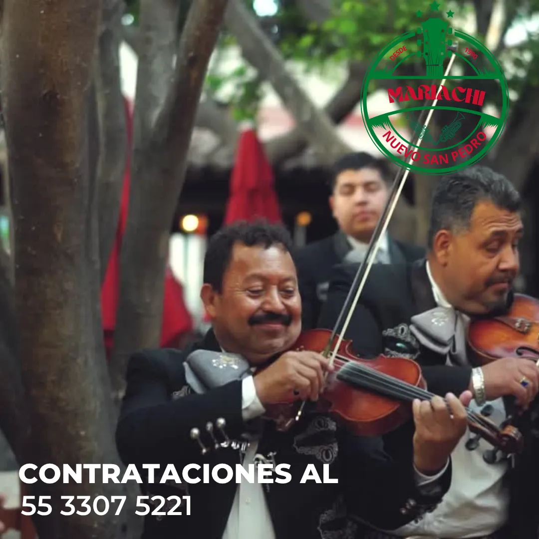 Diseño 47