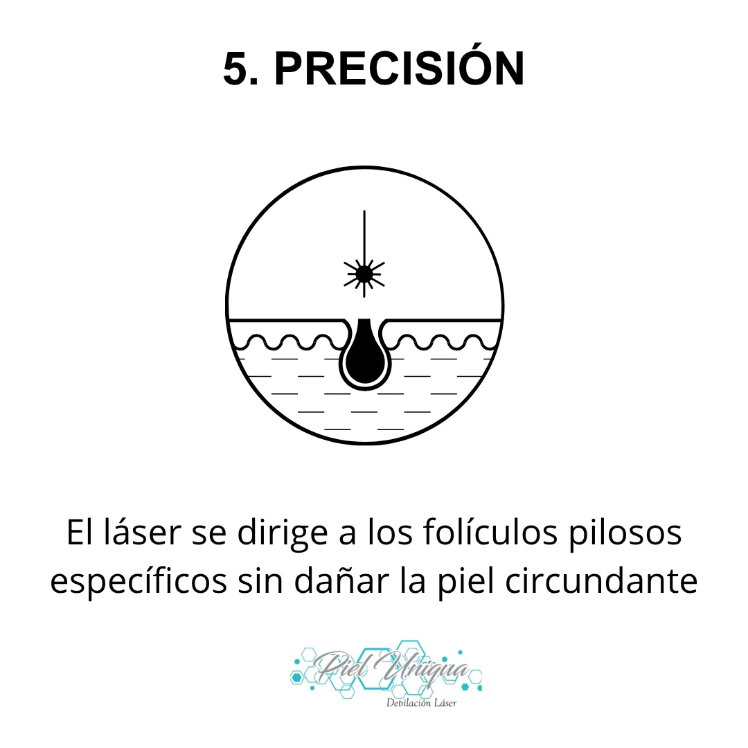 Diseño 18