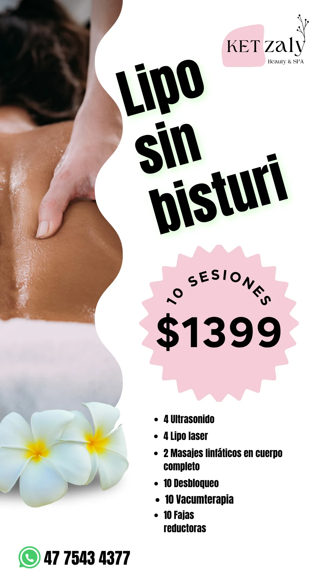 Diseño 31