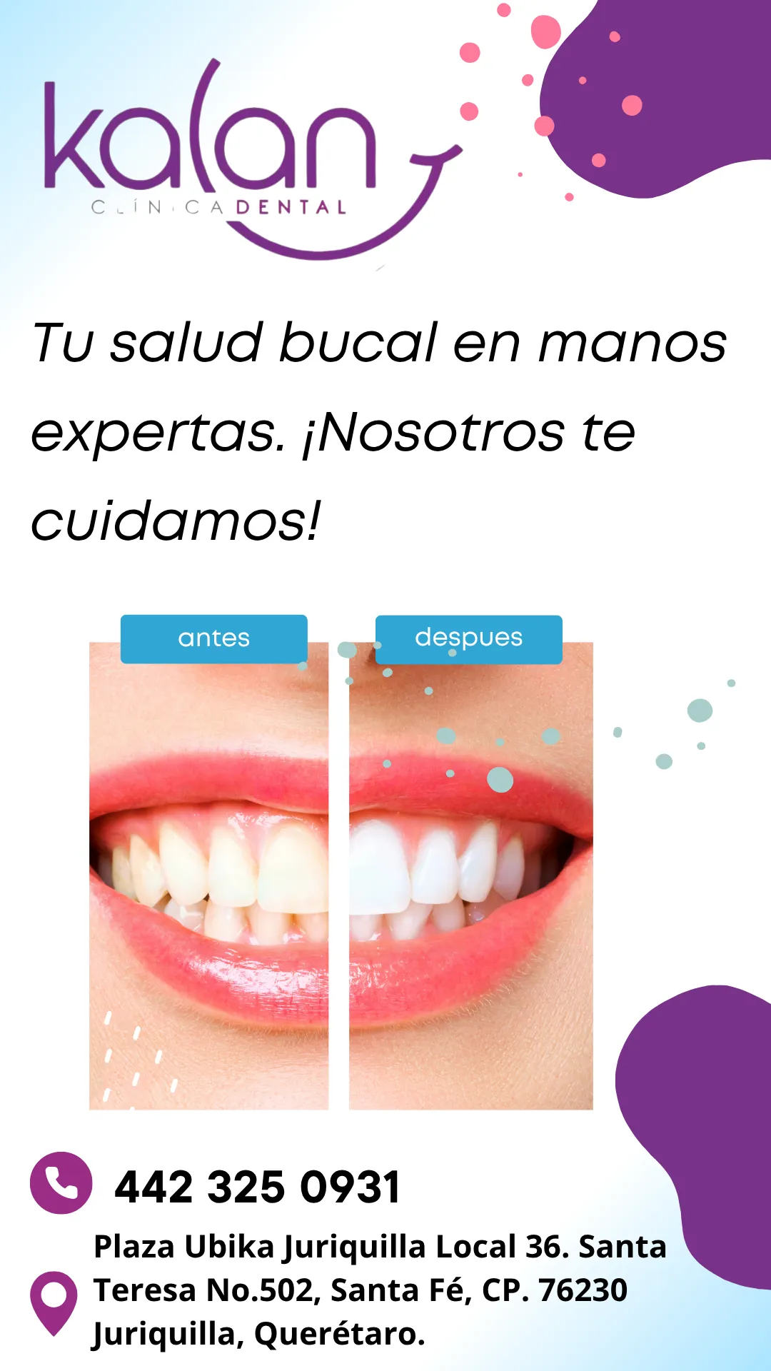 Diseño 37