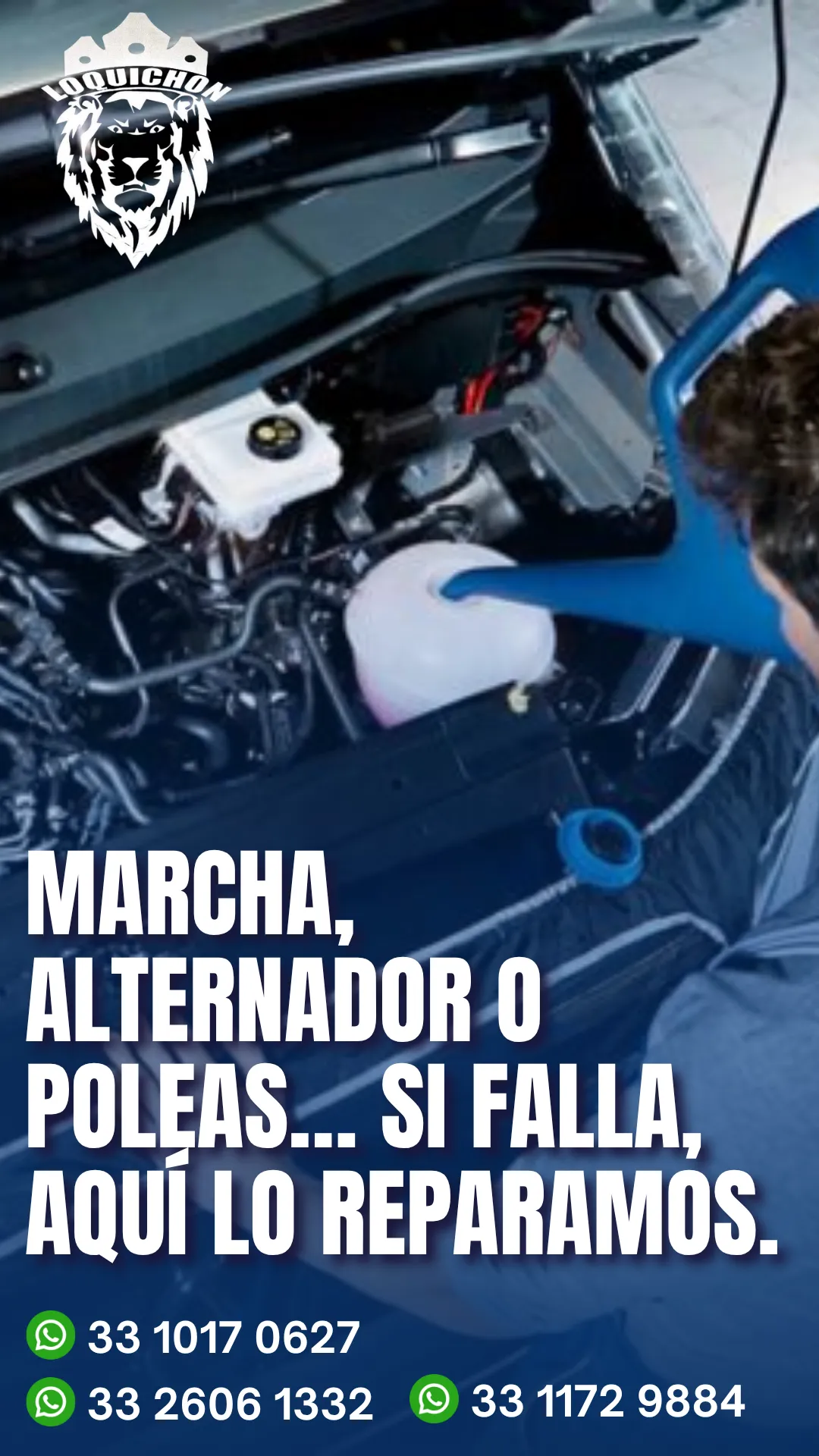 Diseño 43