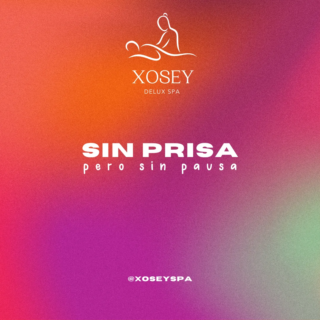 Diseño 6