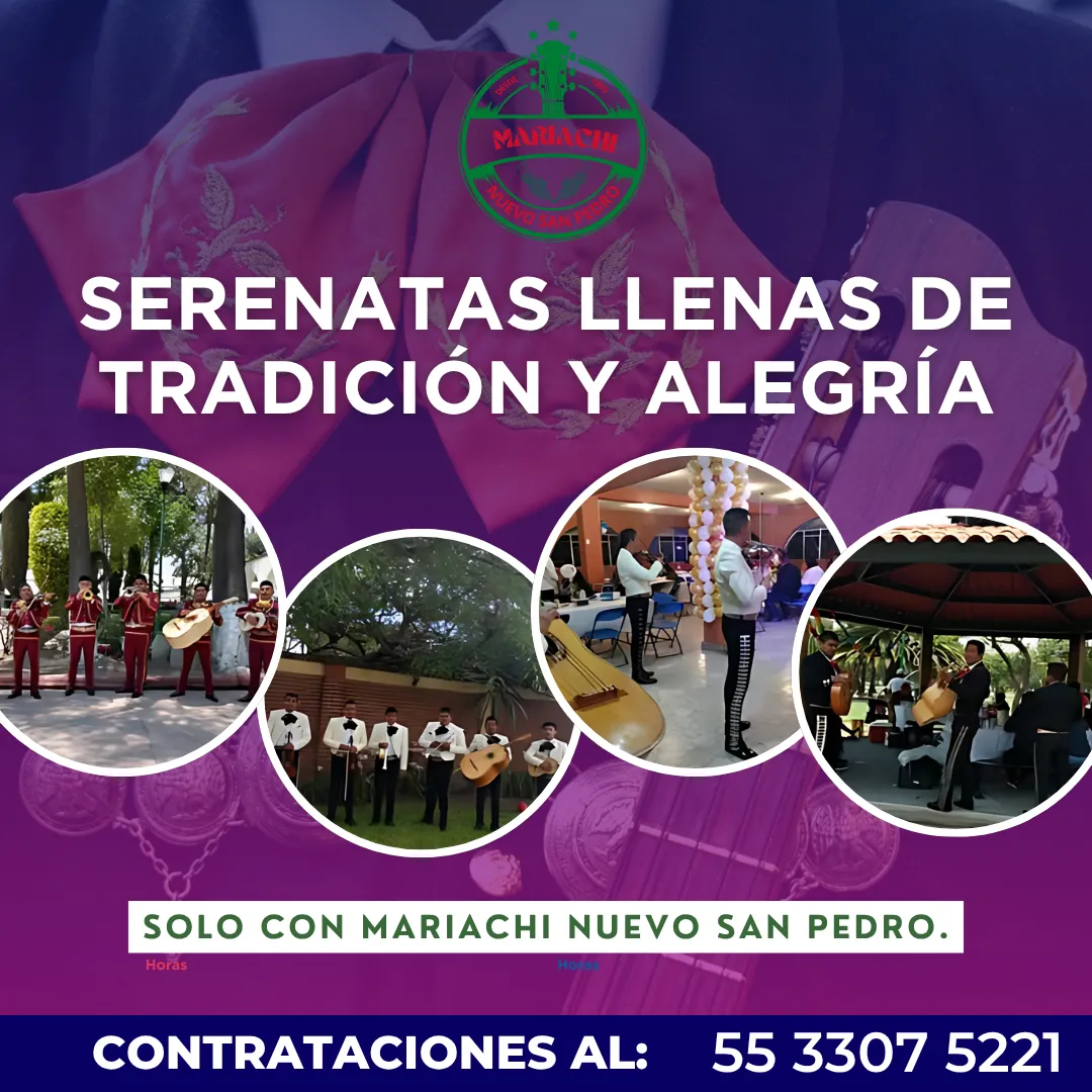 Diseño 25