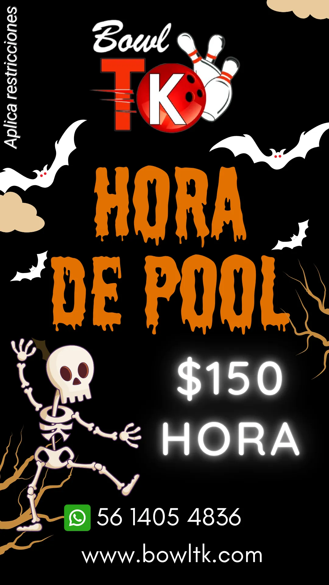Diseño 132