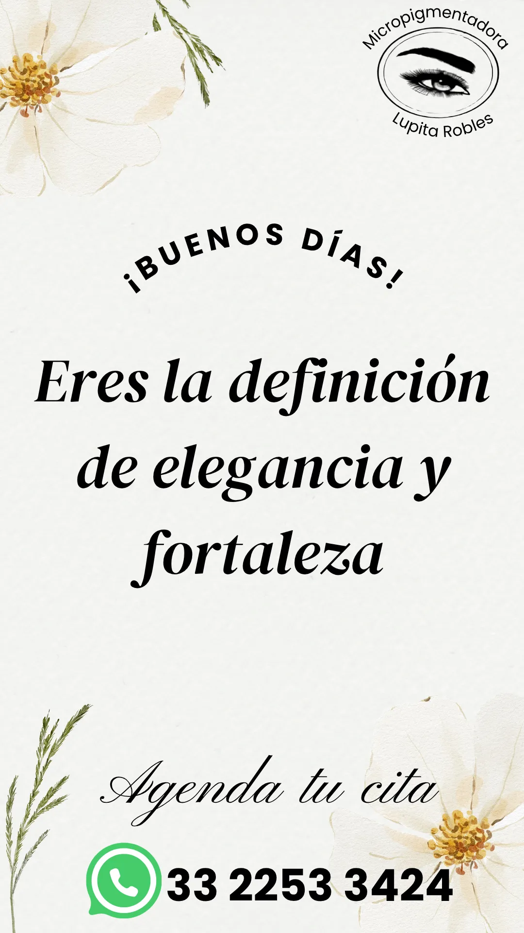 Diseño 44
