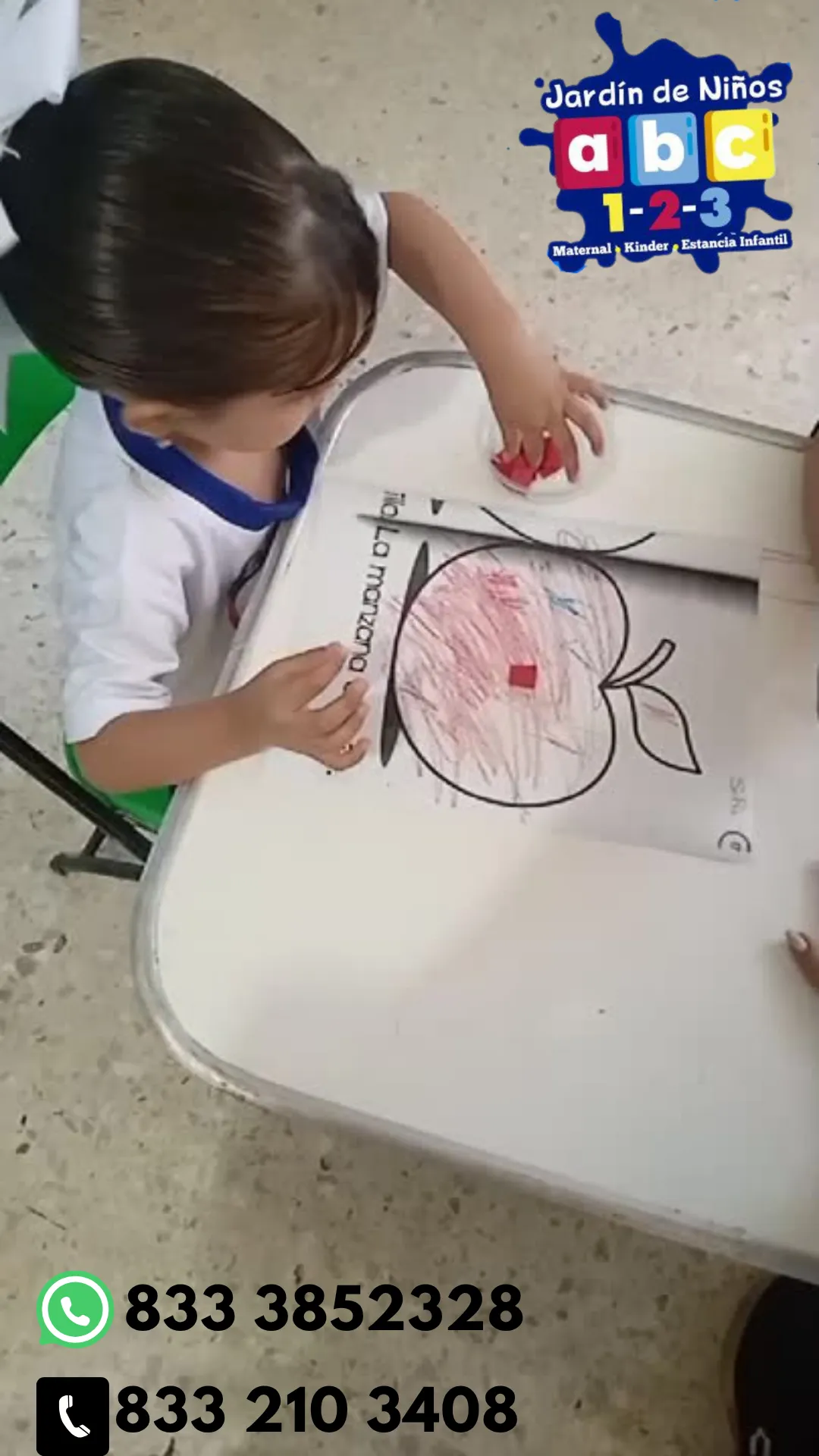 Diseño 56