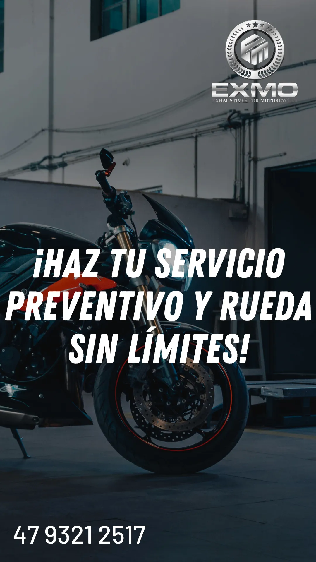 Diseño 14
