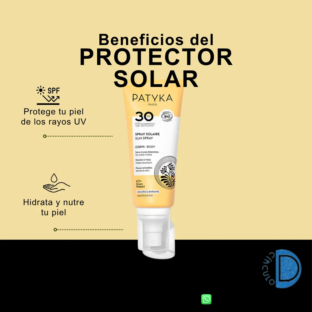Diseño 19