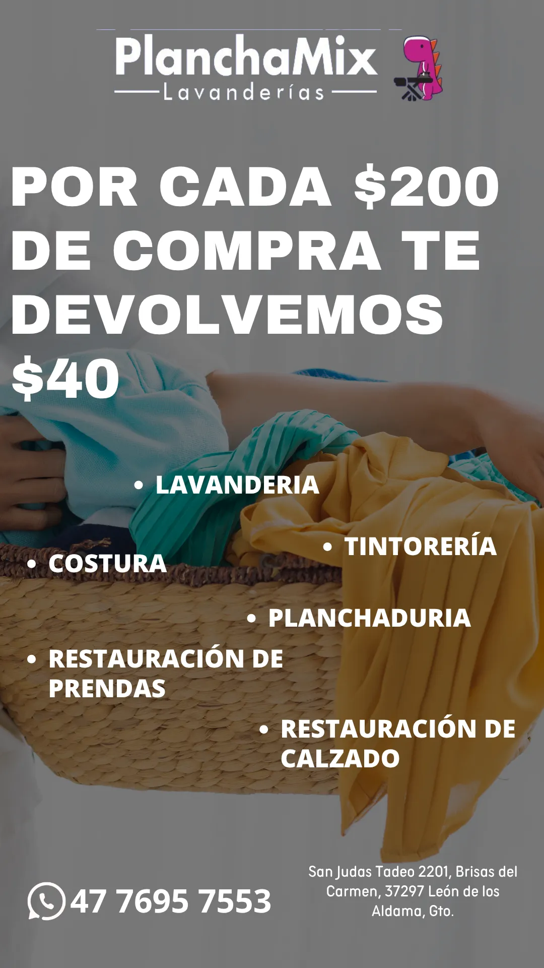 Diseño 46