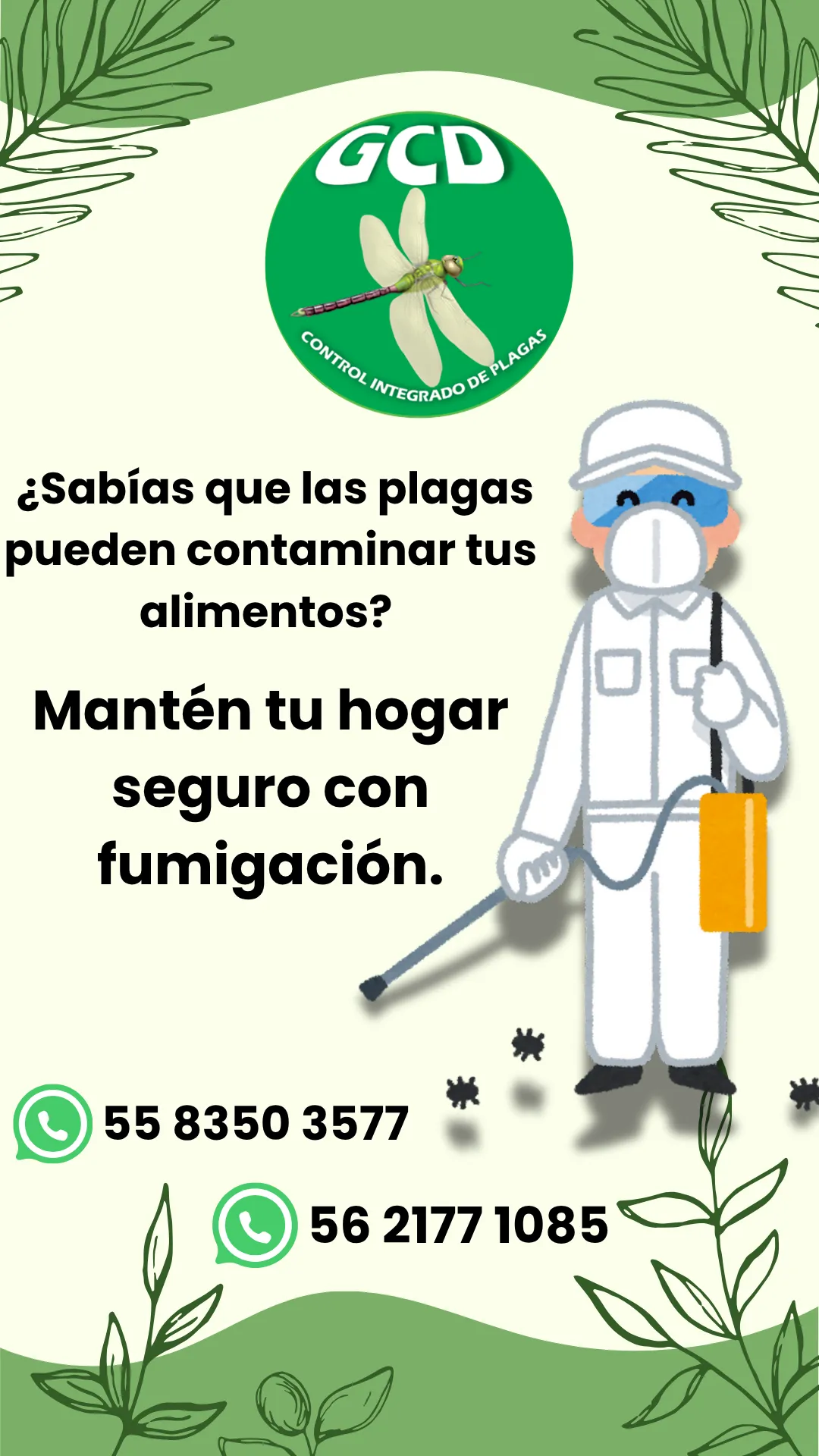 Diseño 35
