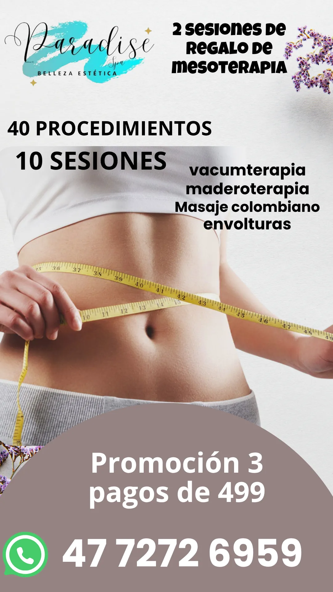 Diseño 79