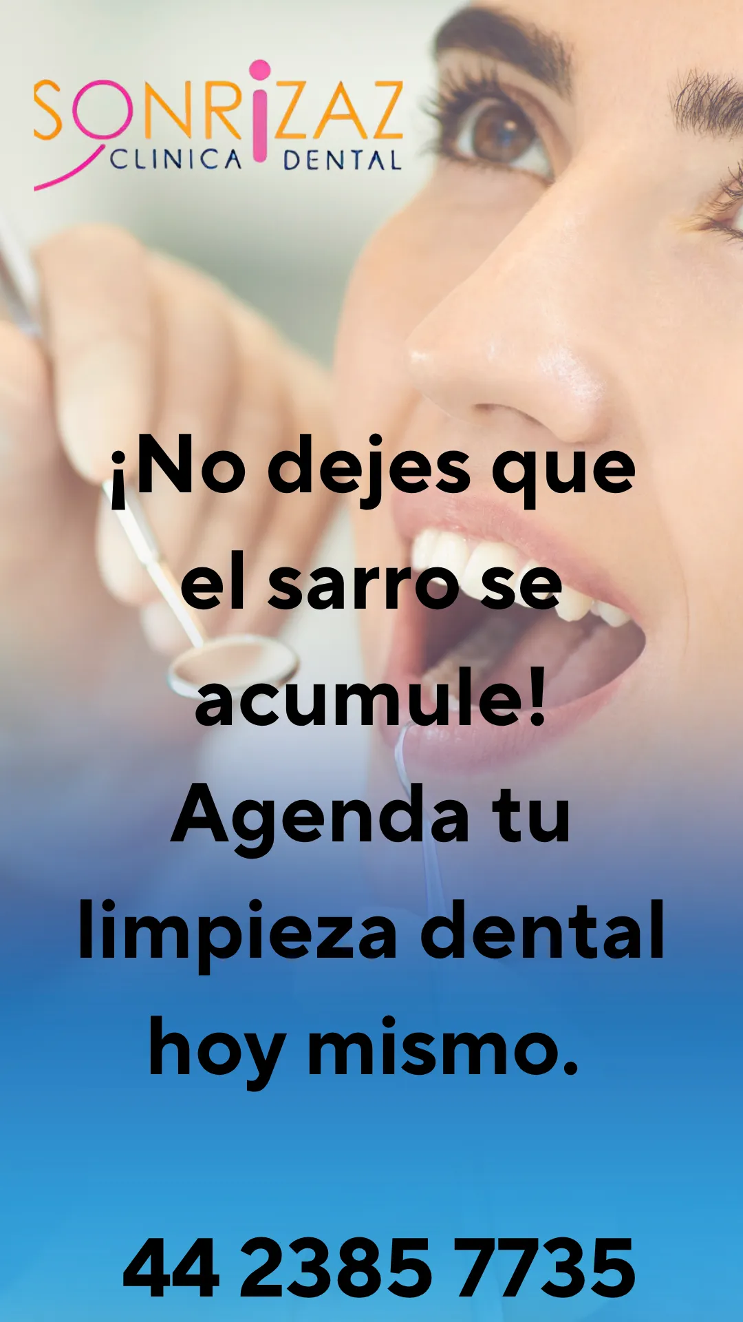 Diseño 65