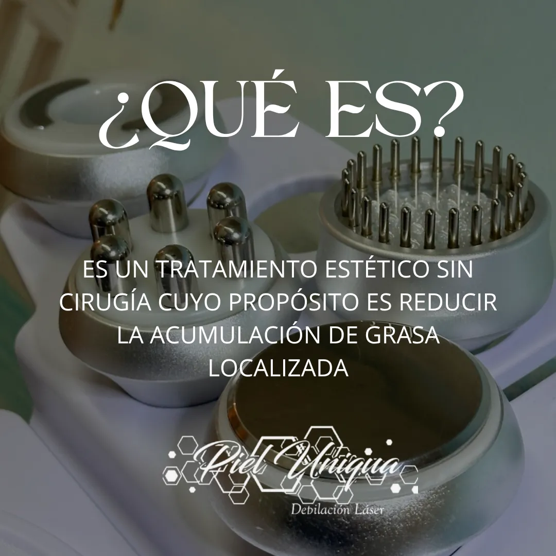 Diseño 49
