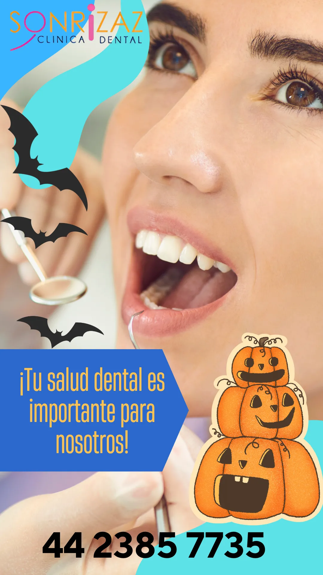 Diseño 6
