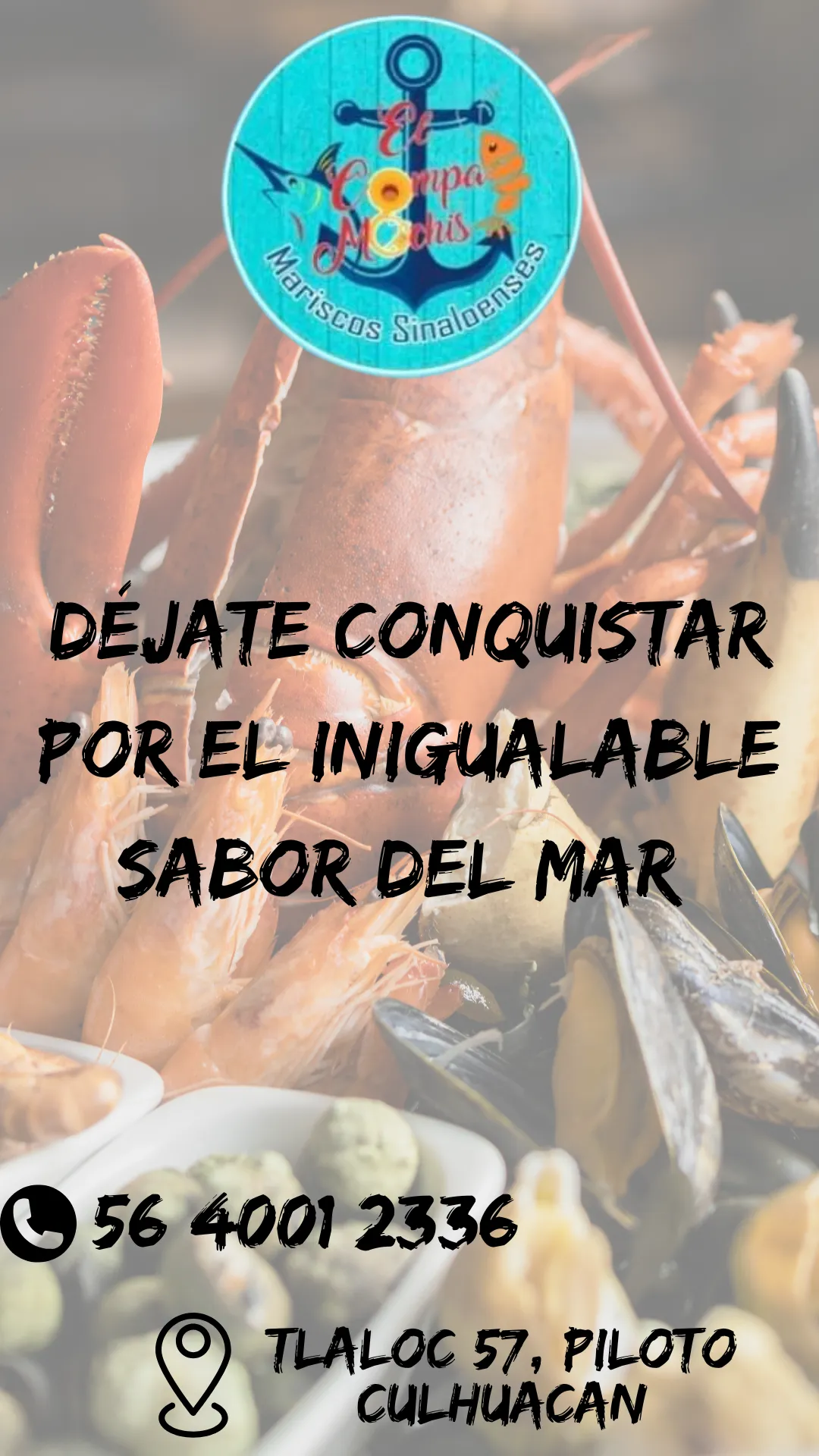 Diseño 41