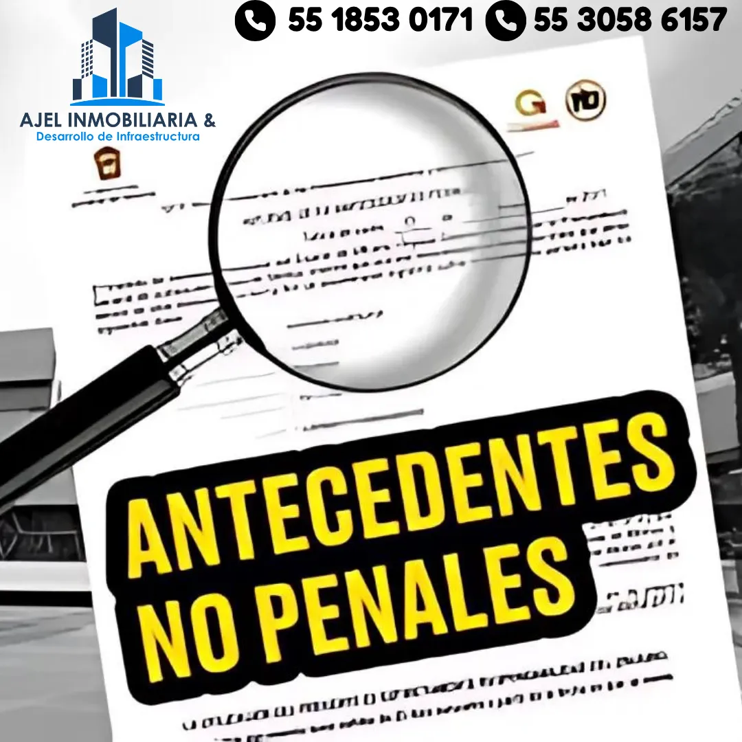 Diseño 31