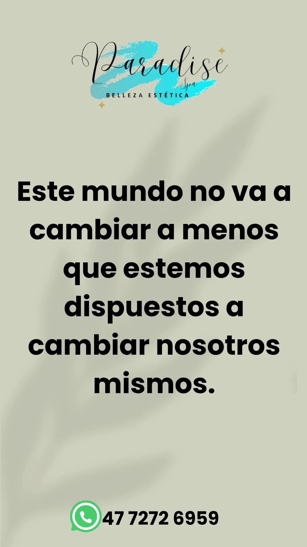 Diseño 31